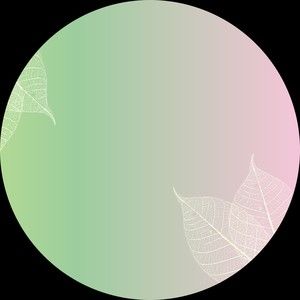 Meet your Posher, Elouise